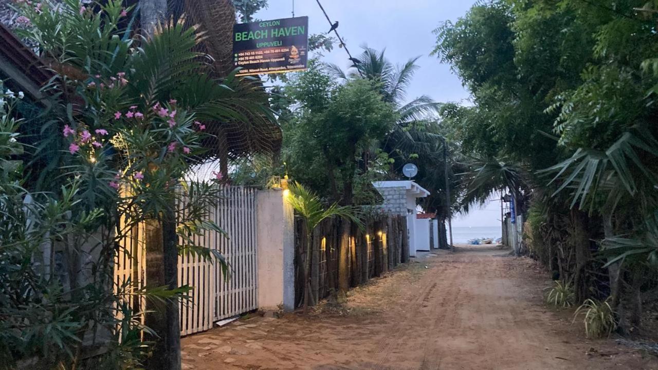 טרינקומאלה Ceylon Beach Haven Uppuveli מראה חיצוני תמונה